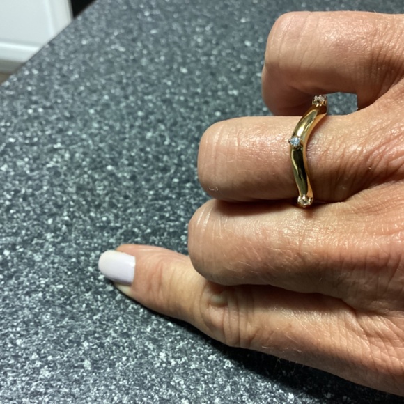 NWT Hey Harper Limited Edition Monsanto Ring - Picture 8 of 9